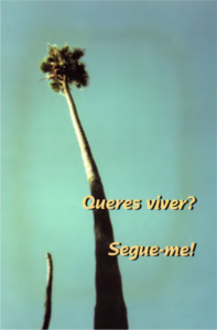 Queres Viver Segue-Me